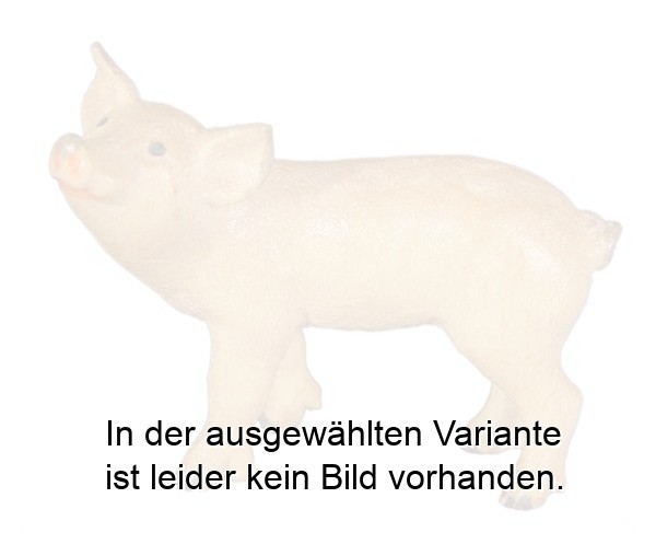 Ferkel