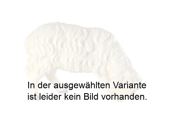 Schaf grasend