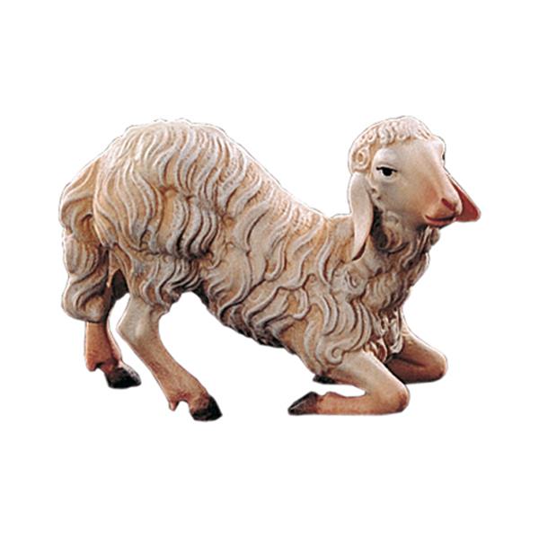Schaf kniend
