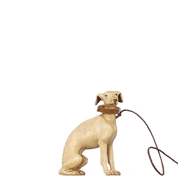 Sitzender Windhund Sitzender Windhund