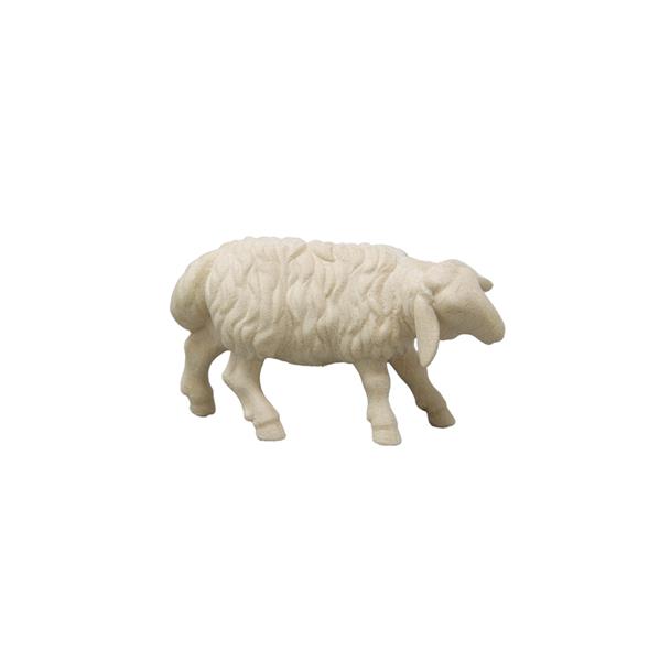 Schaf zuschauend