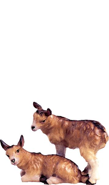 Kitzgruppe Kitzgruppe