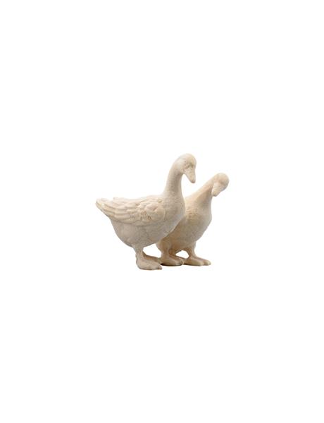 Gänsegruppe Gänsegruppe
