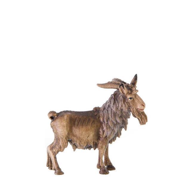 Ziegenbock