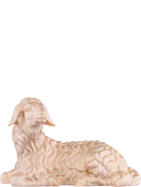 Schaf liegend Schaf liegend