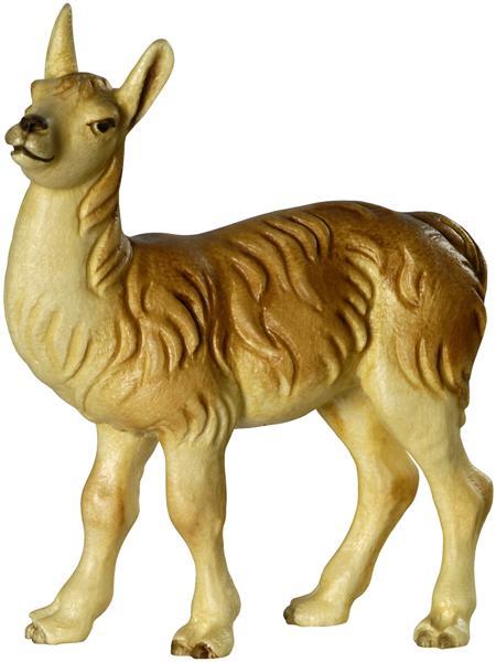 Lamafohlen