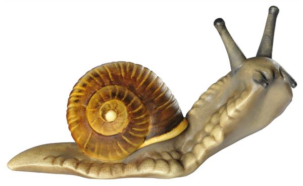 Weinbergschnecke (oben)