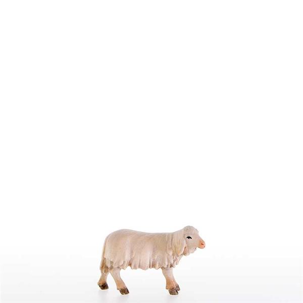 Lamm mit Kopf nach links Lamm mit Kopf nach links