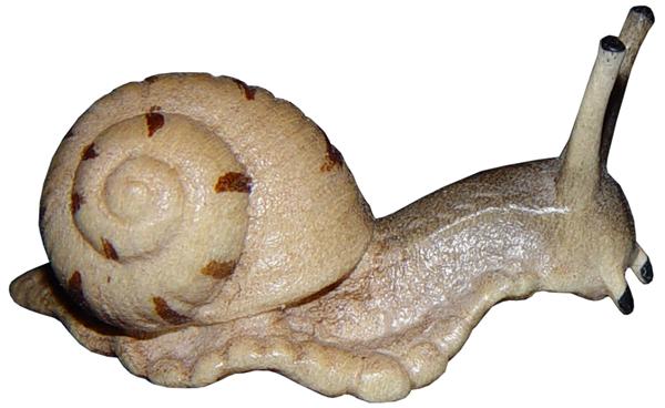 Schnecke