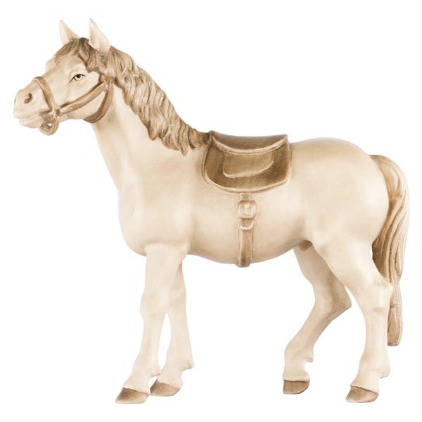 Pferd weiß Pferd weiß