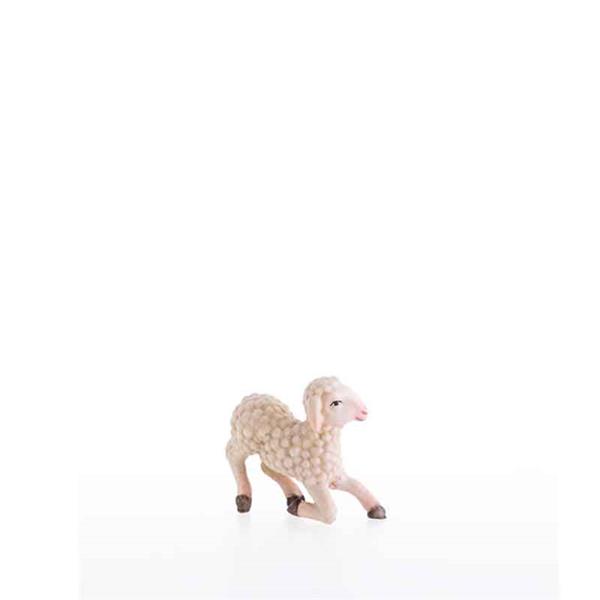 Kniendes Schaf Kniendes Schaf