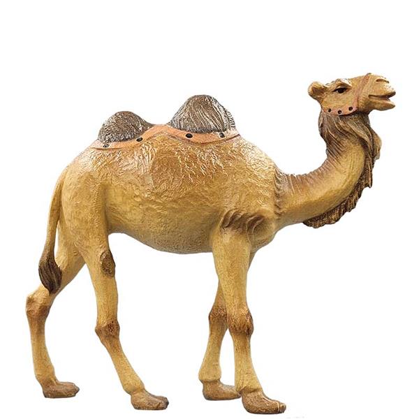 Kamel Kamel