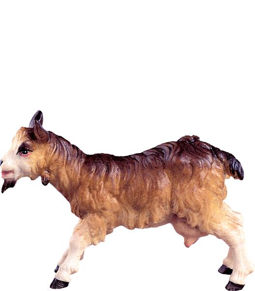 Ziege Ziege