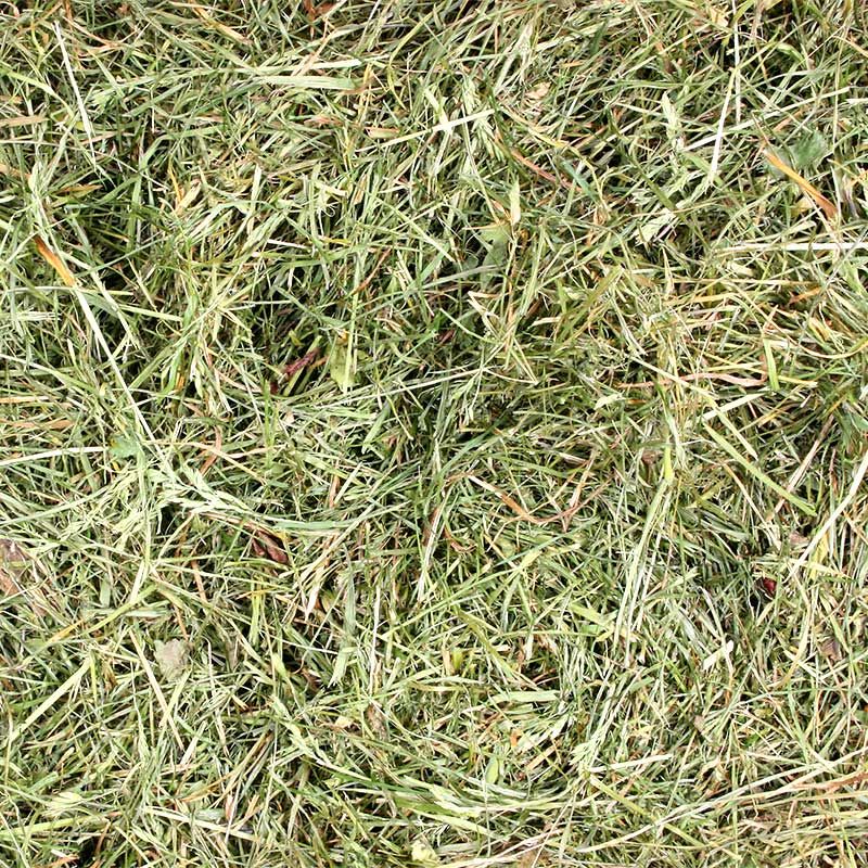 Heu fein - Krippenzubehör Heu fein - Krippenzubehör