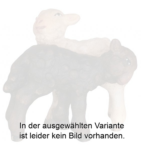 Lamm mit schwarzem Lamm Lamm mit schwarzem Lamm