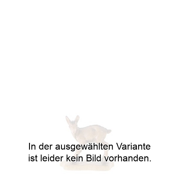 Böcklein stehend Böcklein stehend