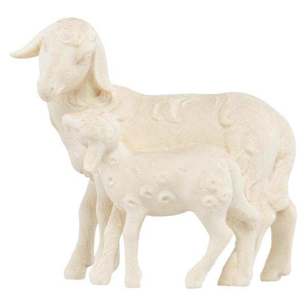 Schaf stehend mit Lamm Schaf stehend mit Lamm