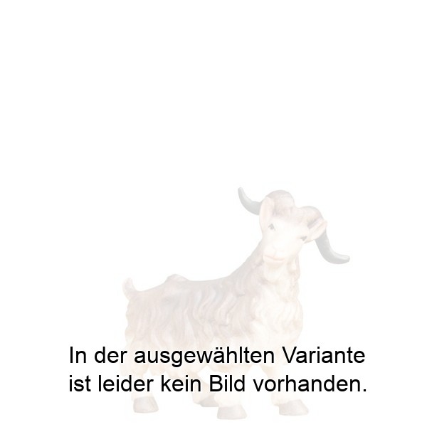 Ziegenbock Ziegenbock