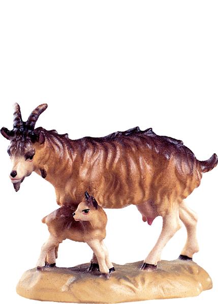 Ziege mit Kitz Ziege mit Kitz