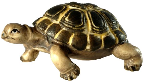 Landschildkröte