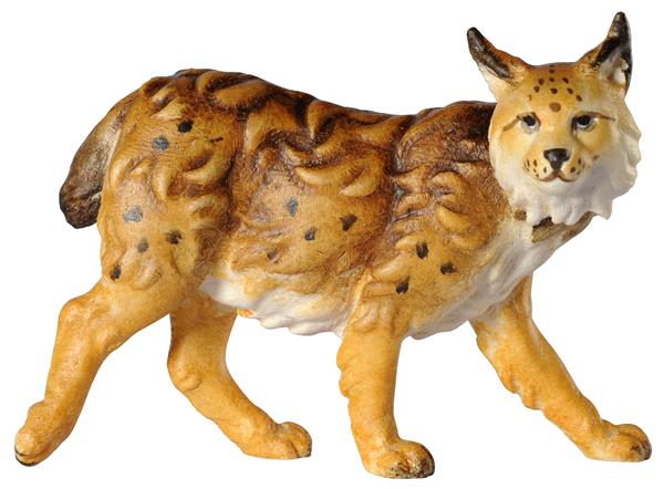 Luchs