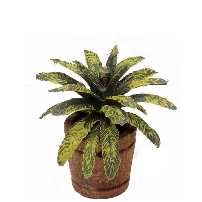 Eimer mit Palme