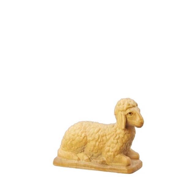 Schaf liegend Schaf liegend