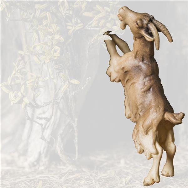 Ziege springend (ohne Baum) Ziege springend (ohne Baum)