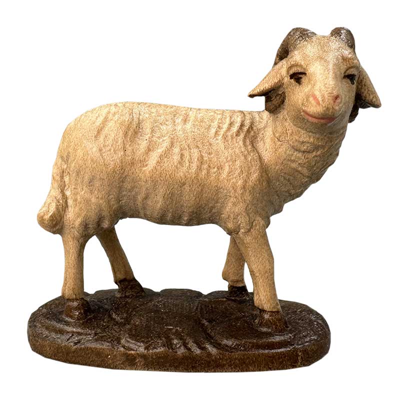 Schafbock Schafbock