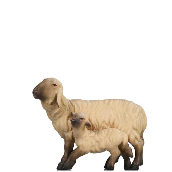 Schaf und Lamm stehend SCHWARZ-WEIß Schaf und Lamm stehend SCHWARZ-WEIß