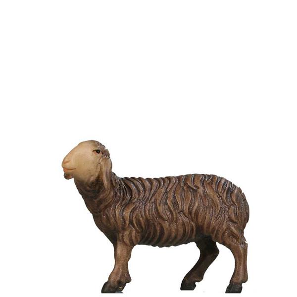 Schaf schauend links SCHWARZ Schaf schauend links SCHWARZ