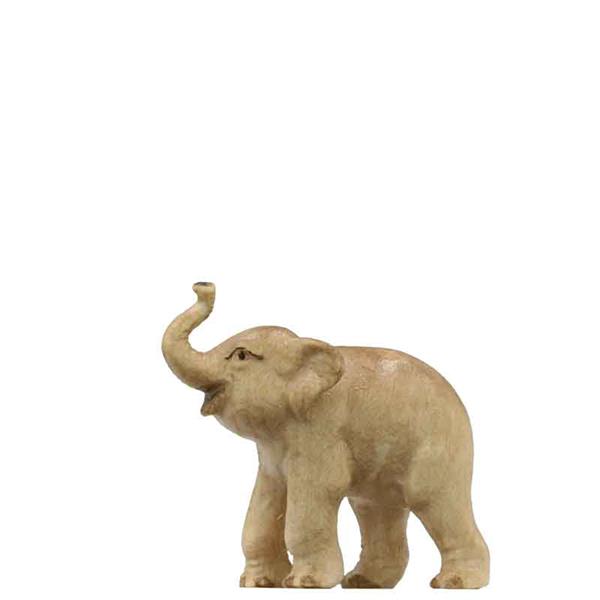 Junger Elefant