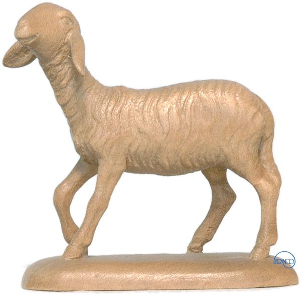 Schaf groß Schaf groß