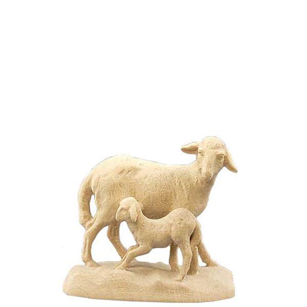 Schaf-Lamm stehend Schaf-Lamm stehend