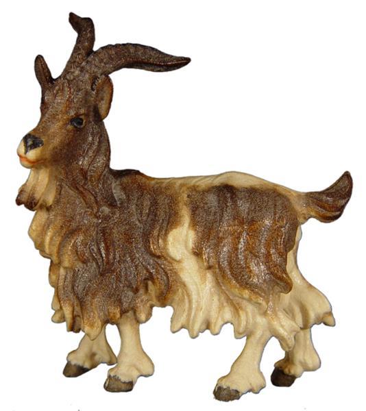 Ziegenbock Ziegenbock