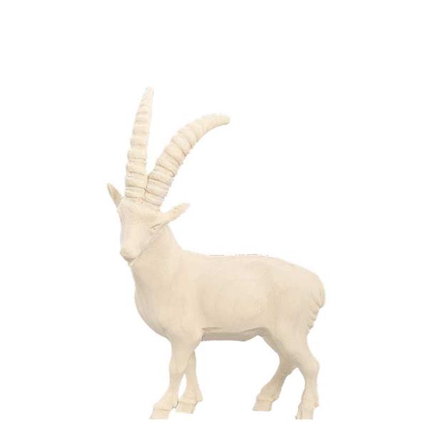 Steinbock Steinbock