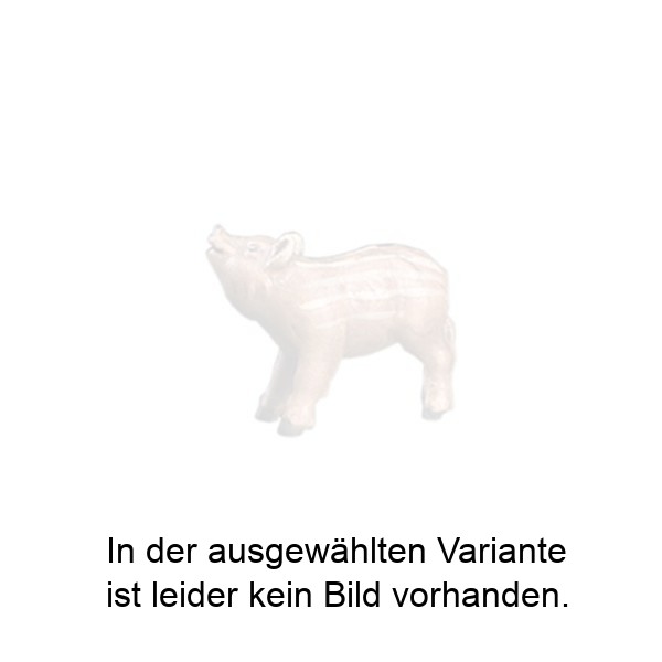 Frischling nach oben schauend