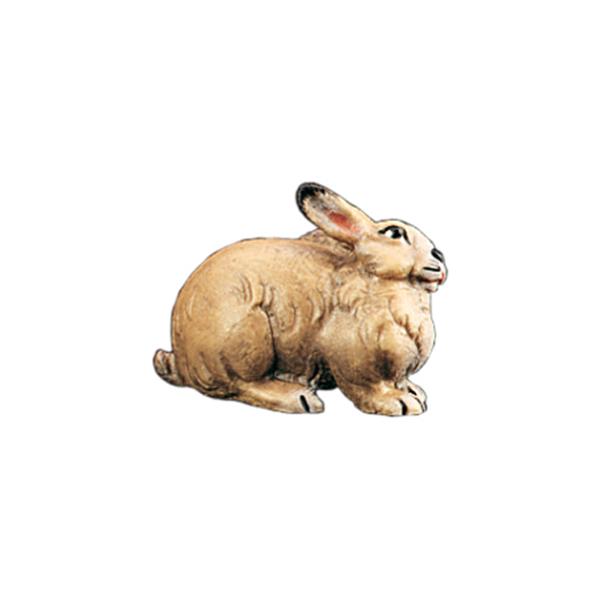 Hase Hase
