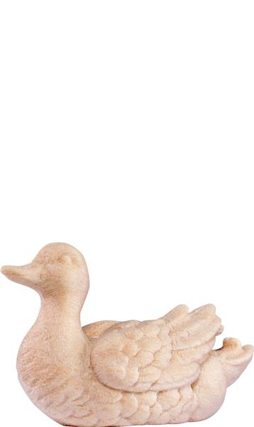 Ente weiss Ente weiss