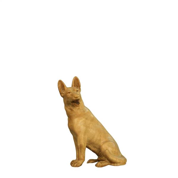 Sitzender Schäferhund Sitzender Schäferhund