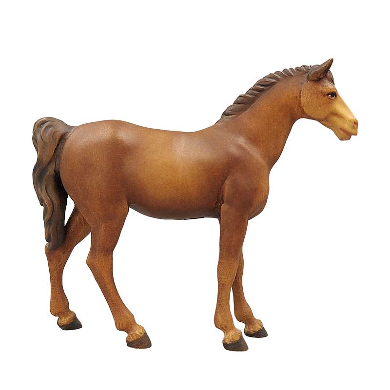 Pferd braun