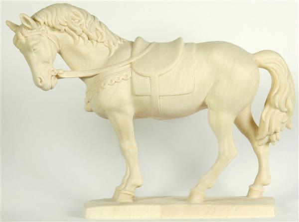 Pferd schwarz Pferd schwarz