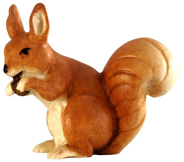 Eichhörnchen sitzend rot-braun Eichhörnchen sitzend rot-braun