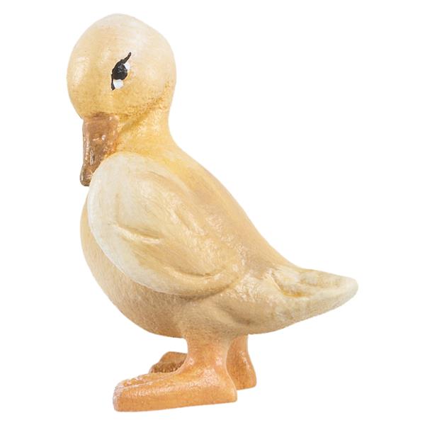 OK Kleine Gans OK Kleine Gans