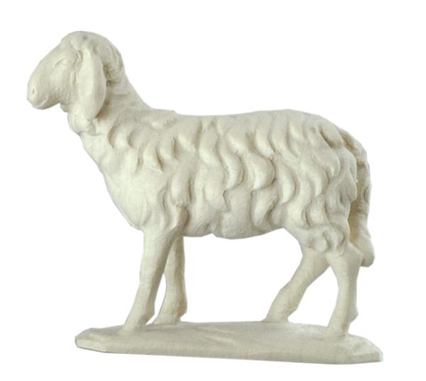 Schaf stehend