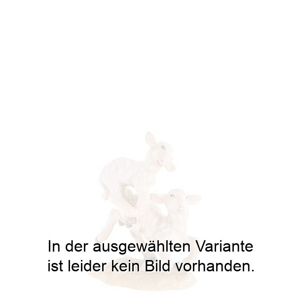 Springendes Lämmerpaar Springendes Lämmerpaar