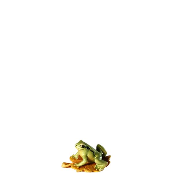 Laubfrosch auf Blatt Laubfrosch auf Blatt