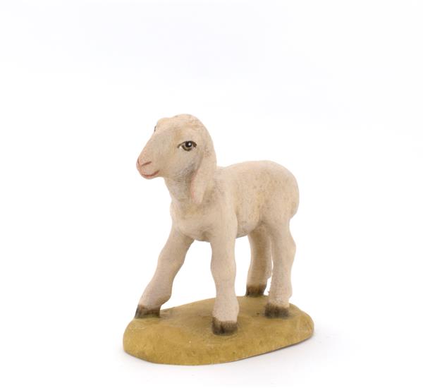 Lamm stehend Lamm stehend