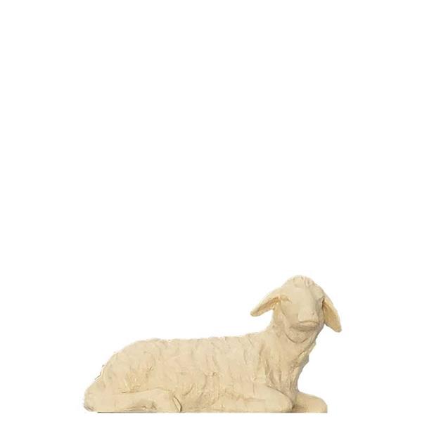 Schaf liegend Schaf liegend