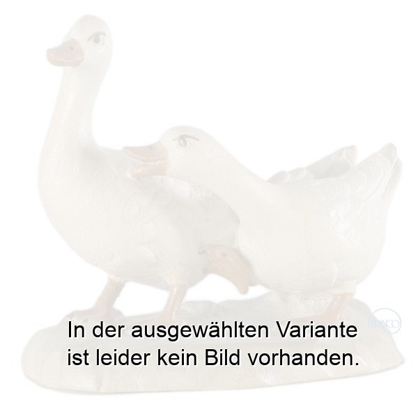 Gänsegruppe Gänsegruppe
